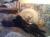 Bild2